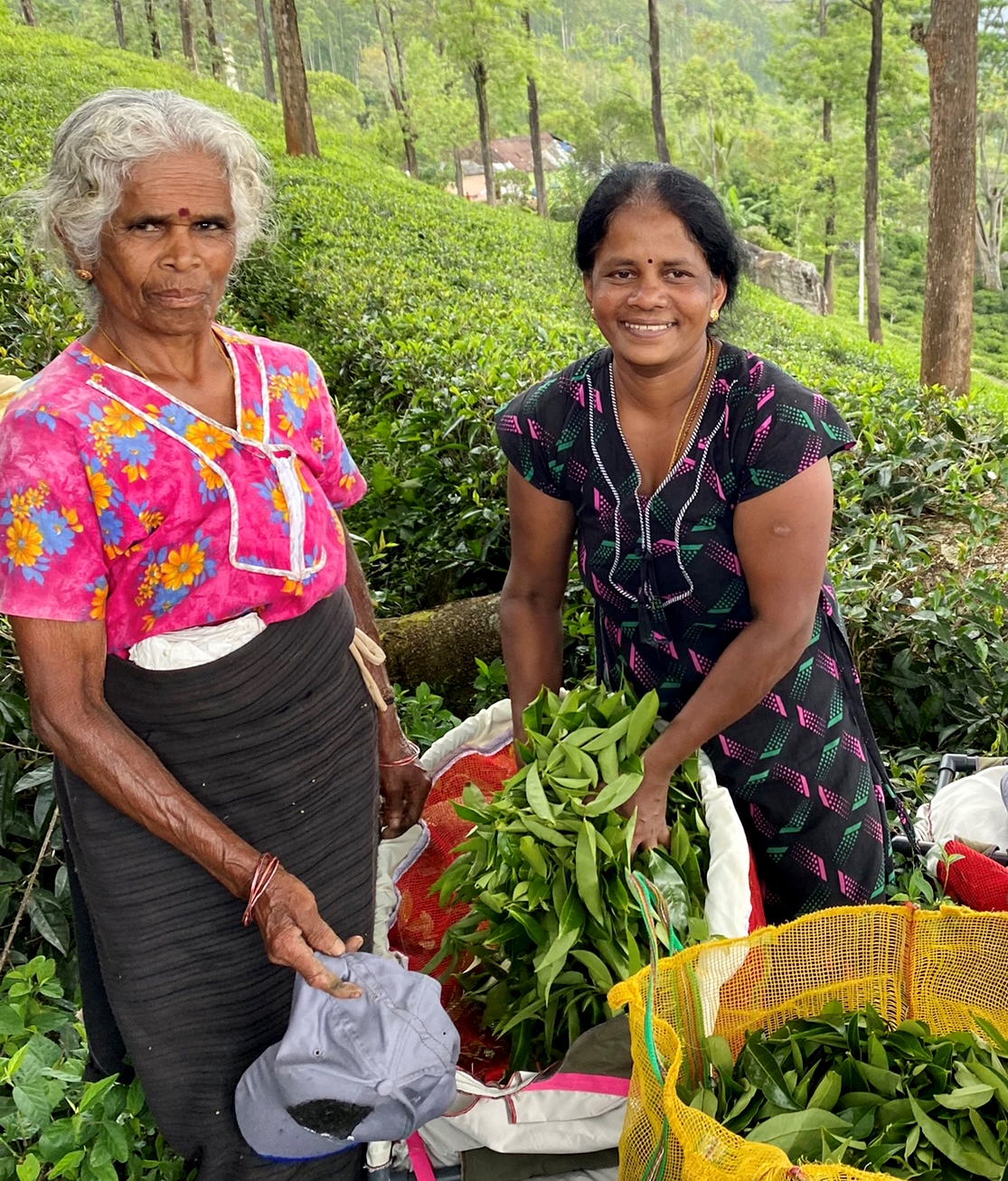 de voyage les couleurs et les sourires des magnifiques femmes du Sri Lanka Terre d
